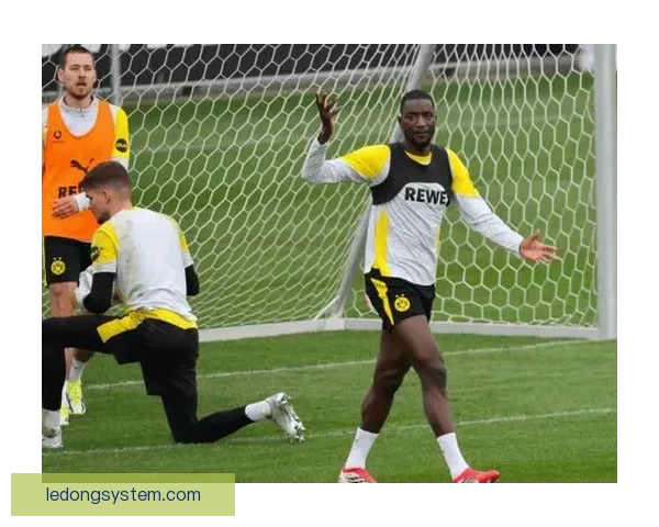 吉拉西欲今夏离开多特 费内巴切米兰等队密切关注